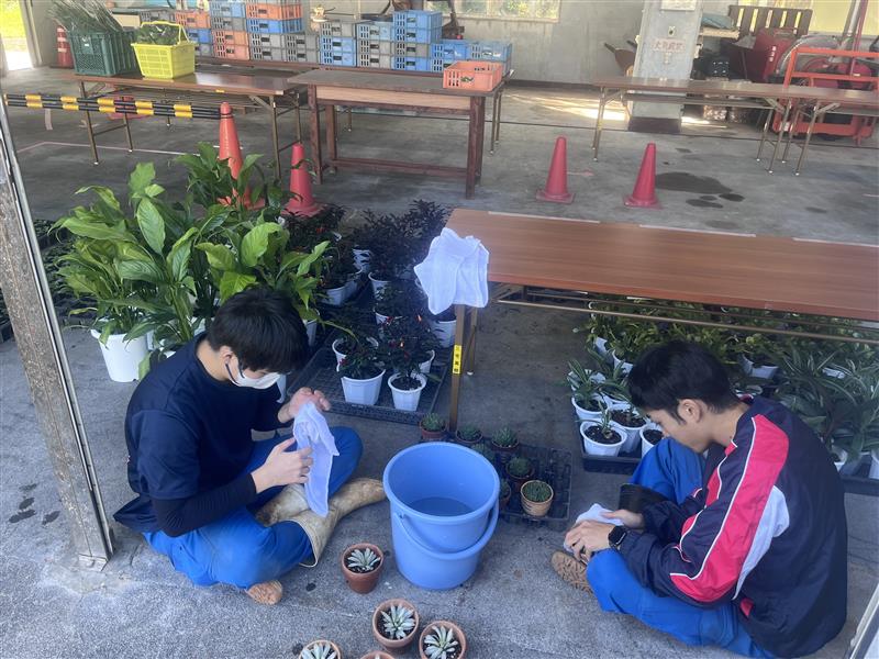 Image - 2025-11-07T163655.216